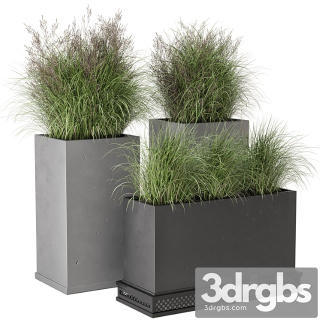 Outdoor plants bush in rusty concrete pot - set 665