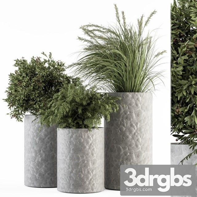 Outdoor Plant Set 22