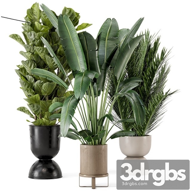 Indoor Plants in Ferm Living Bau Pot Large Set 273