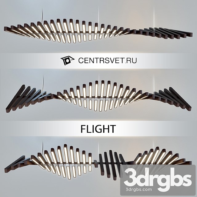 Centrsvet Flight