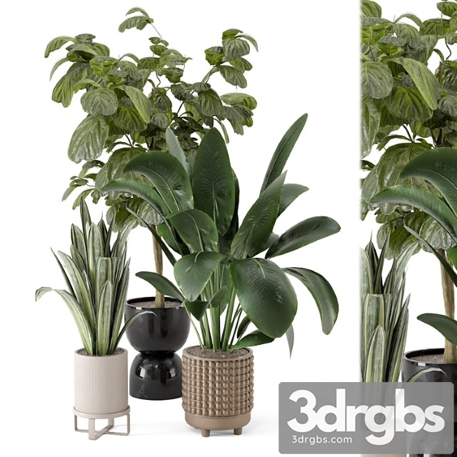 Indoor plants in ferm living bau pot large - set 1044