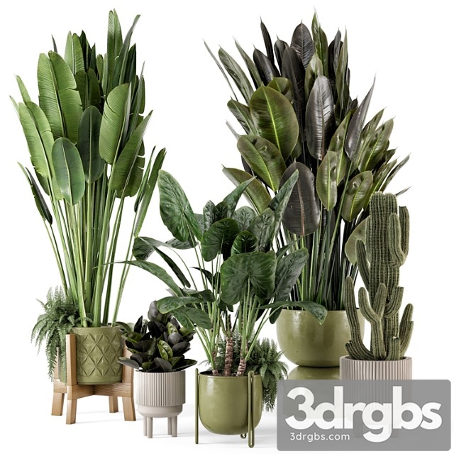 Indoor Plants In Standing Legs Small Bowl Concrete Pot Set 563