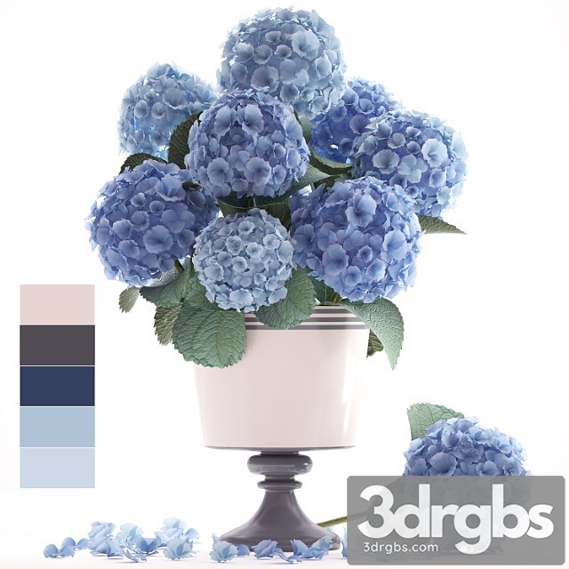 Flower Collection 56 Hydrangea Blue Flowers Flower Vase Branch