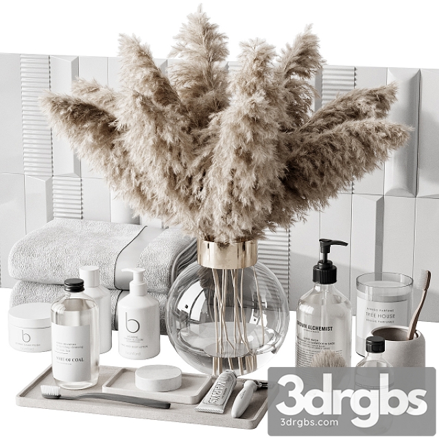 Bathroom Accessories 011