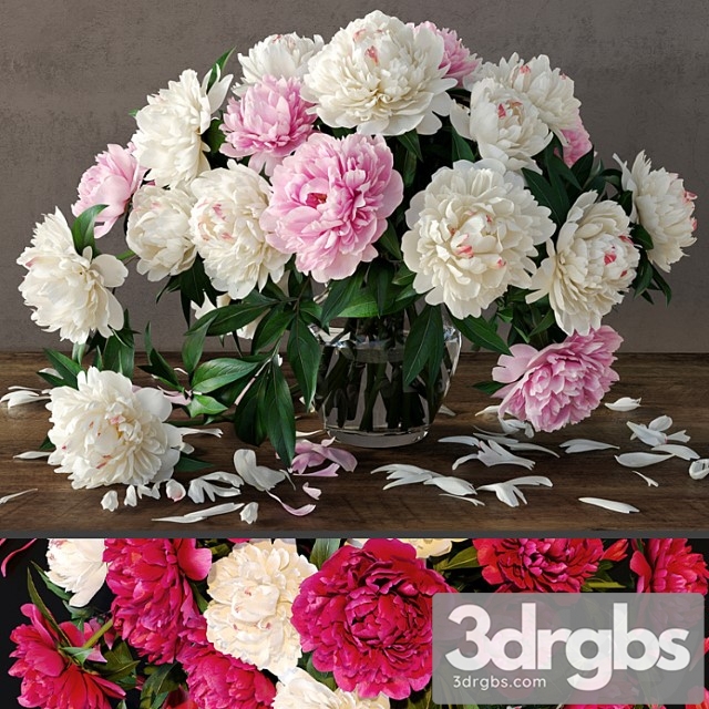 Peonies_2