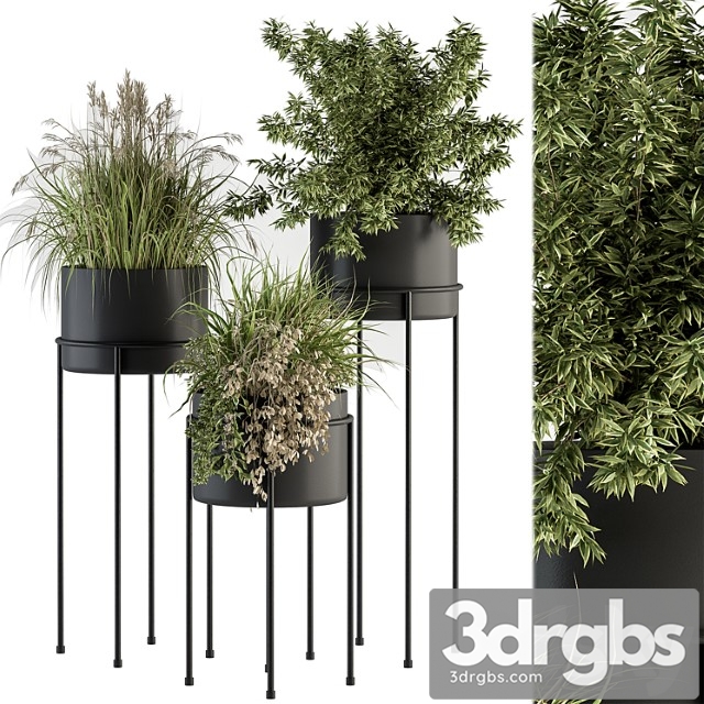 Indoor plant set 370 - tree and plant set stand pot