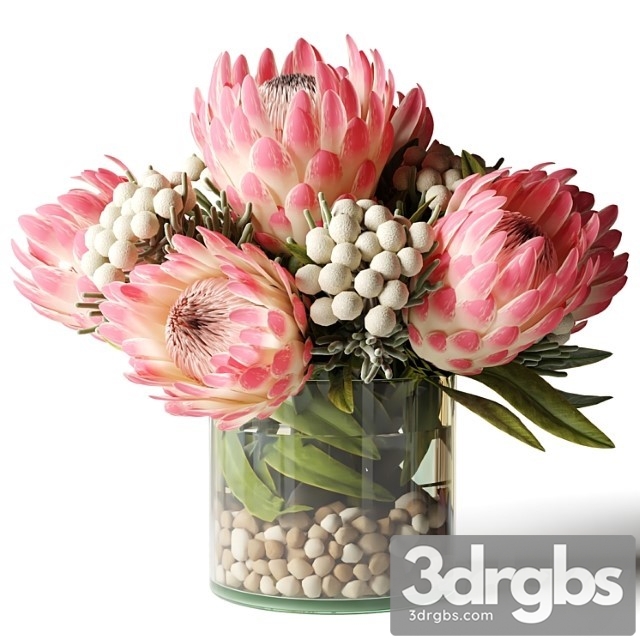 Bouquet of Pink Proteas With Balls