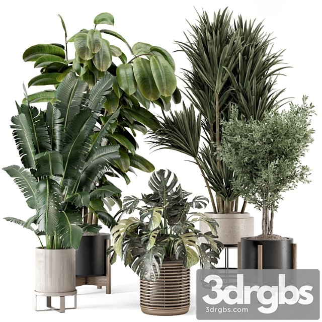 Indoor plants in ferm living bau pot large - set 1328