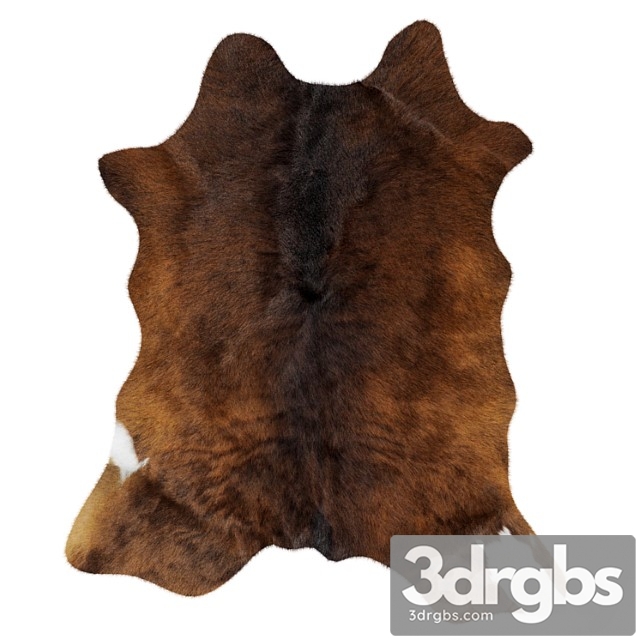 Animal Skin Rug 14