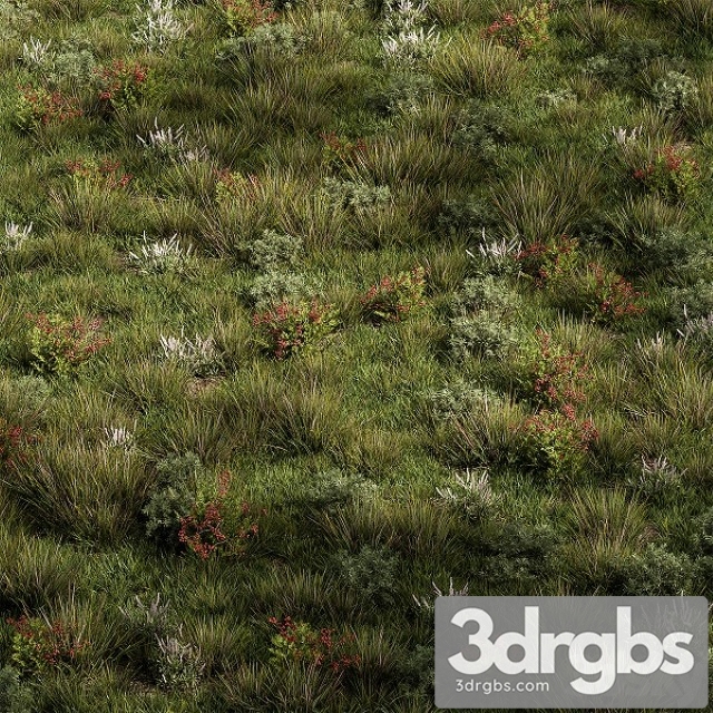 Nature Meadow Grass Set 17