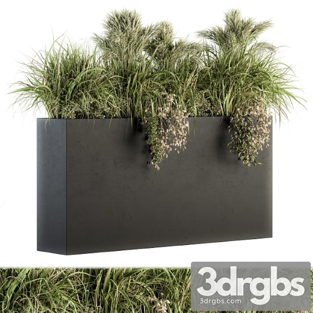 Outdoor plants tree in plant box - set 124