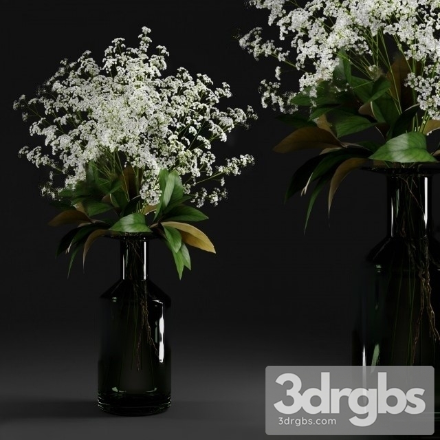 Gypsophila Magnolia Leaves Bottle