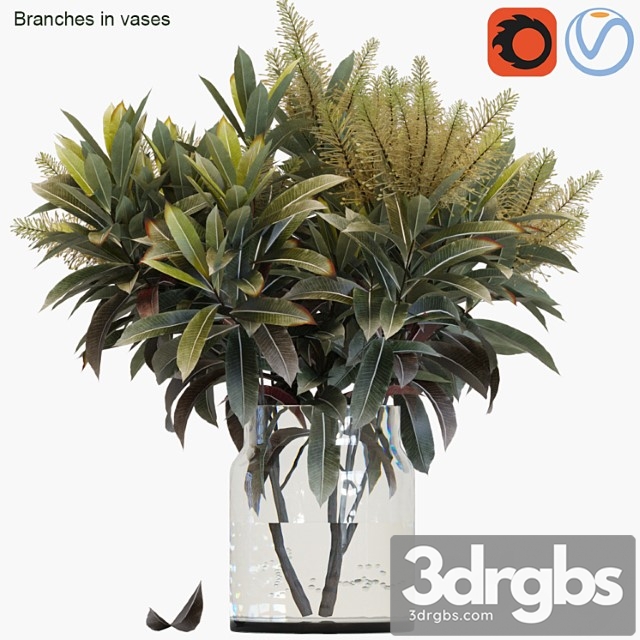 Branches in vases 25