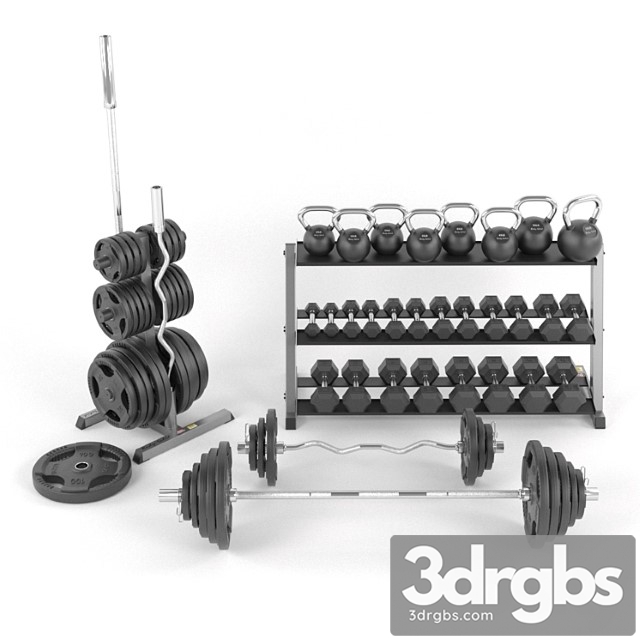 A set of weights for the gym from bodysolid