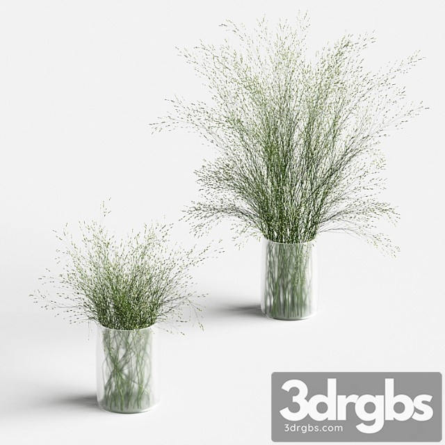 Grass in vases 2