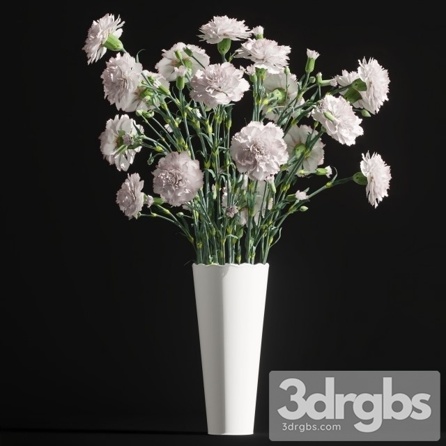 Carnation Bouquet