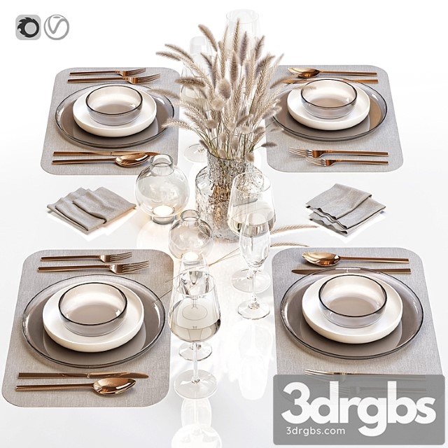 Table setting 30 a