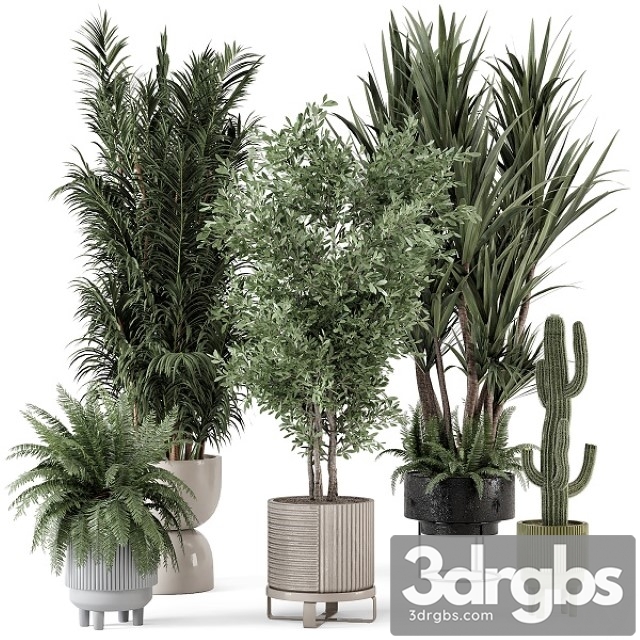 Indoor Plants in Ferm Living Bau Pot Large Set 362