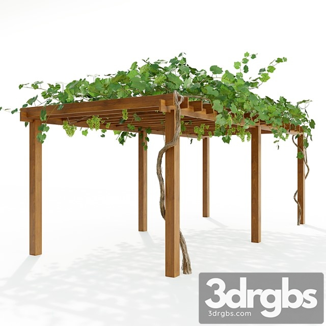 Pergola S Vinogradom 3