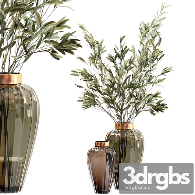 Olive stems in zara glass vase with water