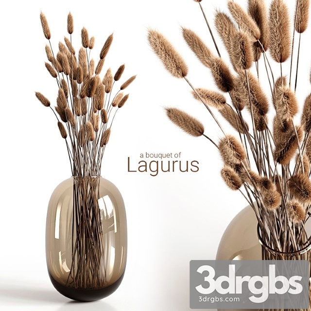 A bouquet of lagurus