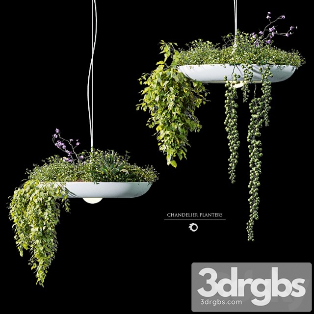 Chandelier plant pot