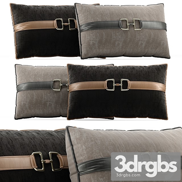 Decorative Pillow 6