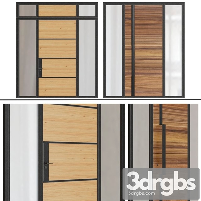 Modern Entrance Doors 2