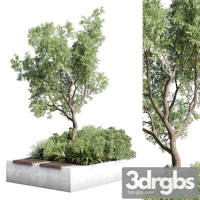 Urban environment - urban furniture - green benches - collection plants and tree 11