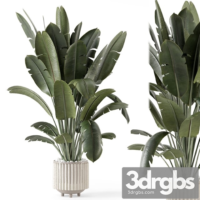 Indoor plants in ferm living bau pot large - set 1448