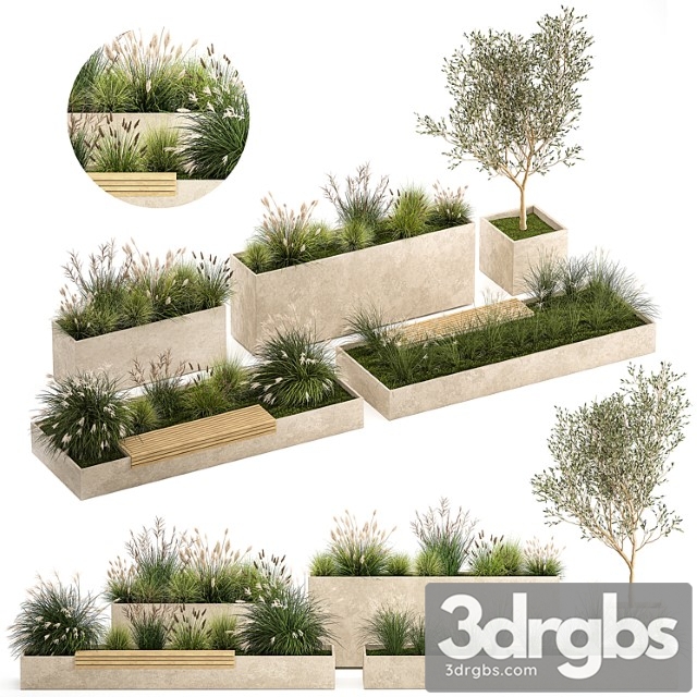 Collection of plants for the urban environment with a flower bed, a bench and concrete outdoor flowerpots, bushes and grass, miscanthus, olive tree, garden. 1141.