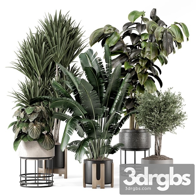 Indoor Plants In Ferm Living Bau Pot Large Set 1351