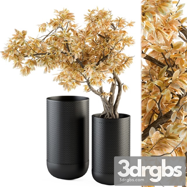 Bouquet set - autumn branch in black vase 78