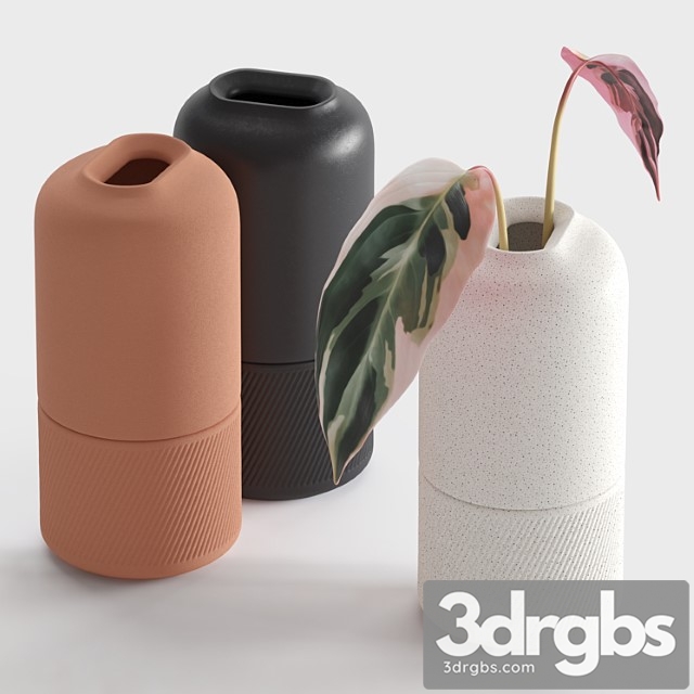 Ceramic Vases Zenn Vases by Axioma