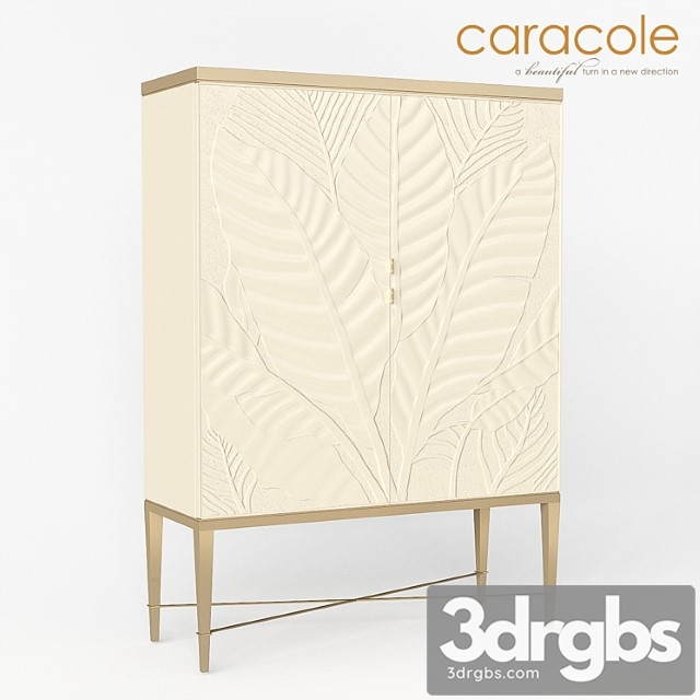 Bar cabinet palms up! caracole