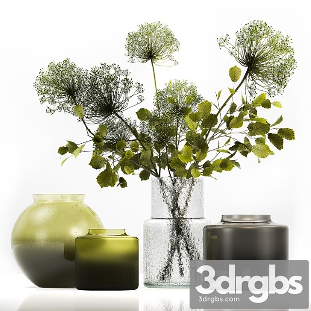 Spring bouquet of green flowers in a glass vase ikea, ikea with hogweed, branches, leaves. 250