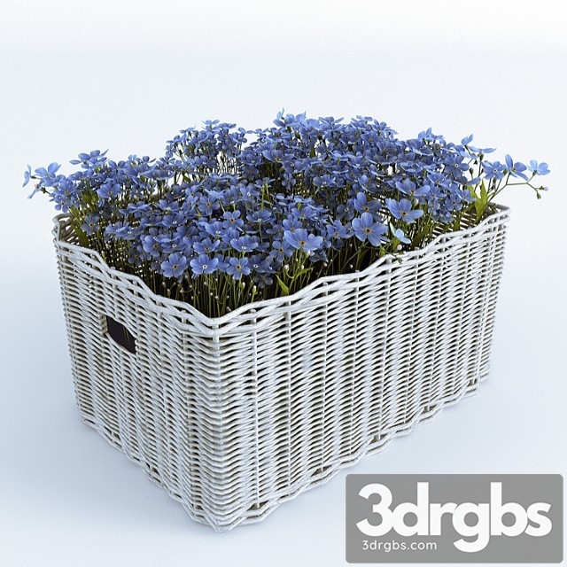 Basket With Forget Me Nots