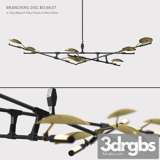 Branching Disc Bd 08 07