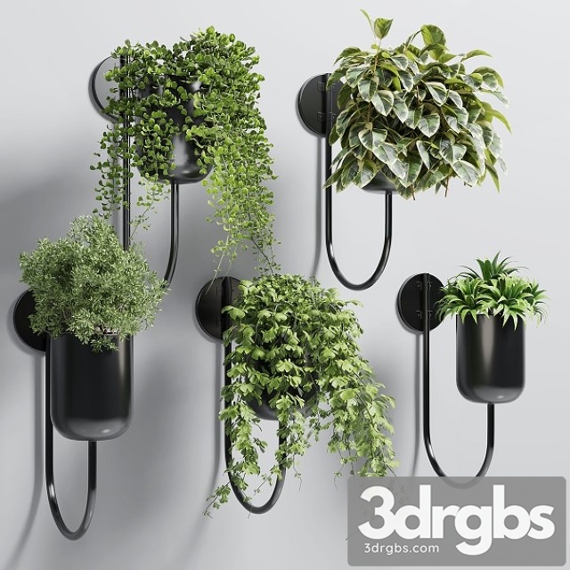 Collection Indoor Plant 135 Vase Metal Stand Wall Plant