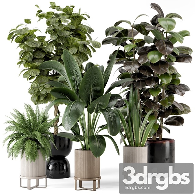 Indoor plants in ferm living bau pot large - set 299