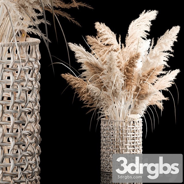 Bouquet Of White Dried Flowers In A Wicker Basket Reeds Pampas Grass Cortaderia 256