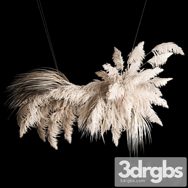 Hanging Bouquet Installation Of White Reeds Dried Flowers Of Pampas Grass Cortaderia Reeds 260