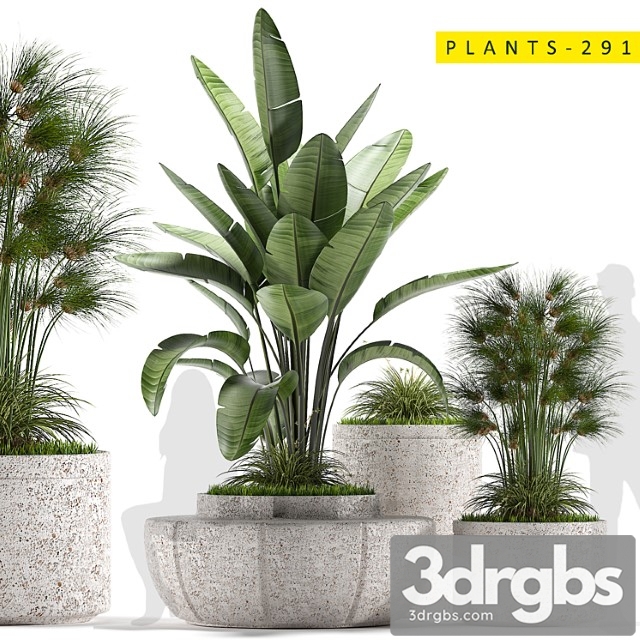 Plants 291