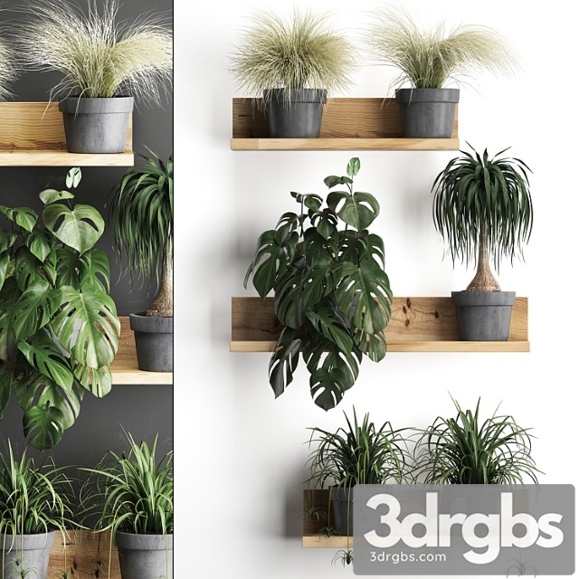 Vertical Gardening 48 Shelf With Flowers Monstera Dracaena Chlorophytum Indoor Plants, Eco Design