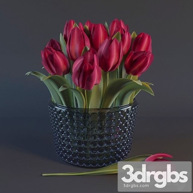 Red Tulips 1