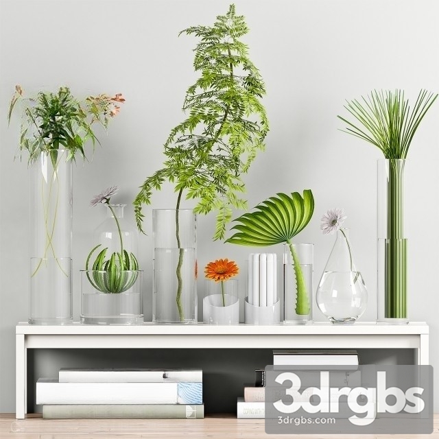 Plants In Glass Jar