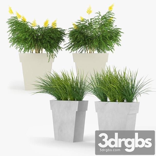 Il vaso outdoor planter