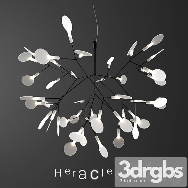 Chandelier Moooi Heracleum Ii Small Black