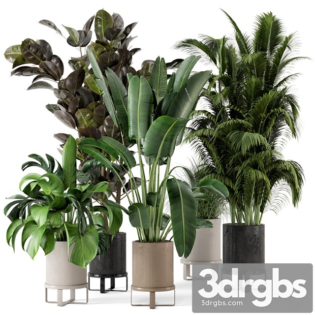 Indoor plants in ferm living bau pot large - set 206