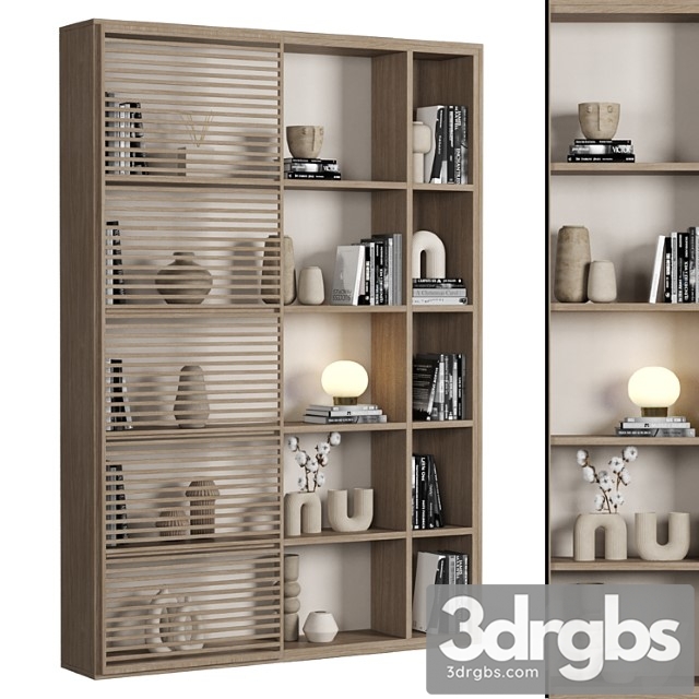 Cabinet With Shelves 041